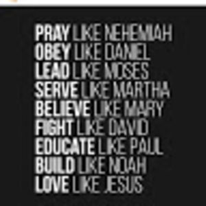 Meet your Posher, Rose